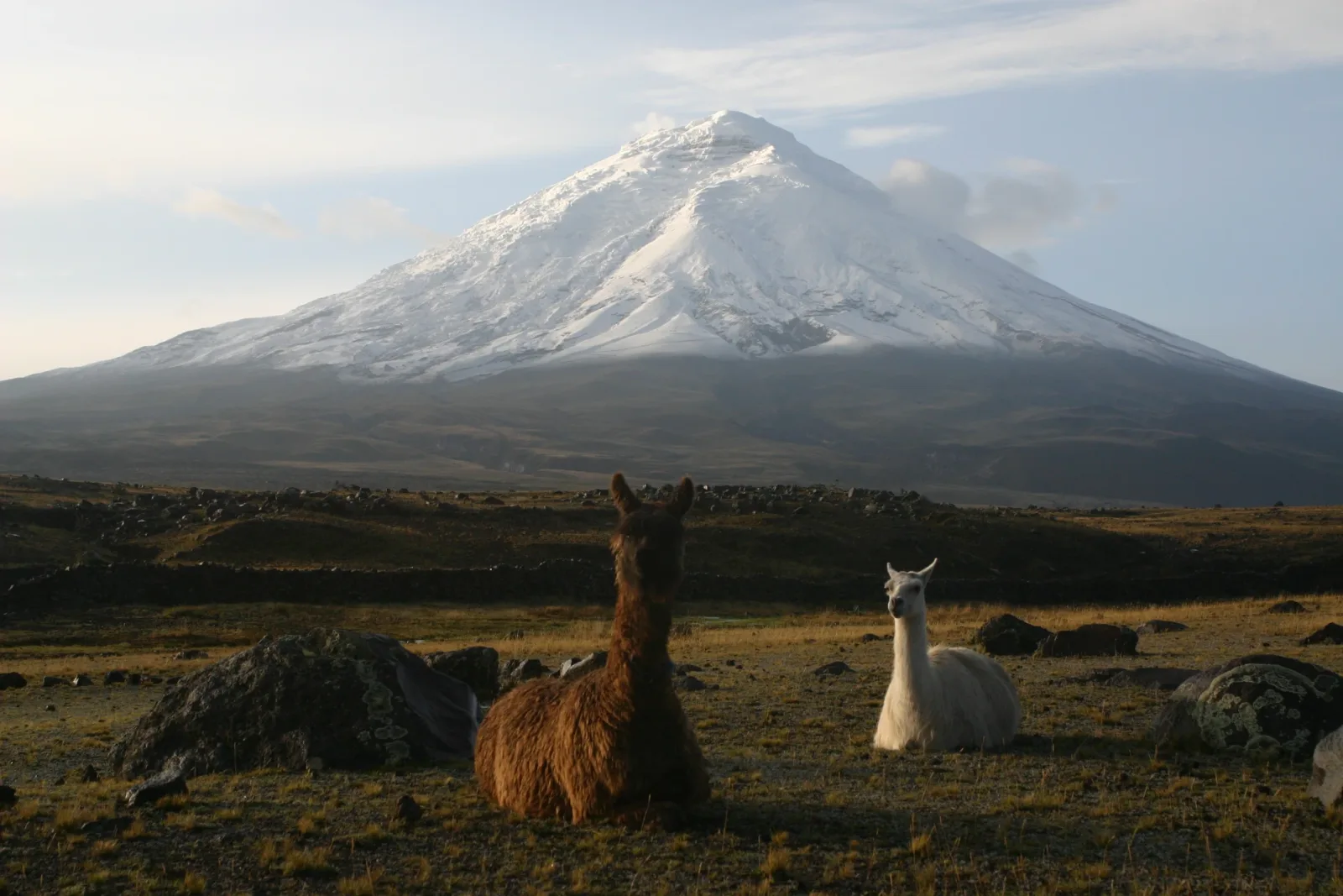 CAN resalta el aporte del turismo a la economía de Bolivia, Colombia, Ecuador y Perú